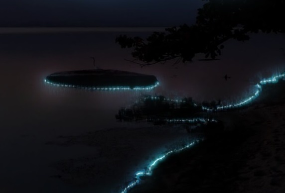 Lagoas de Maricá encantam com fenômeno da Lagoa Azul e atraem atenção de moradores e turistas