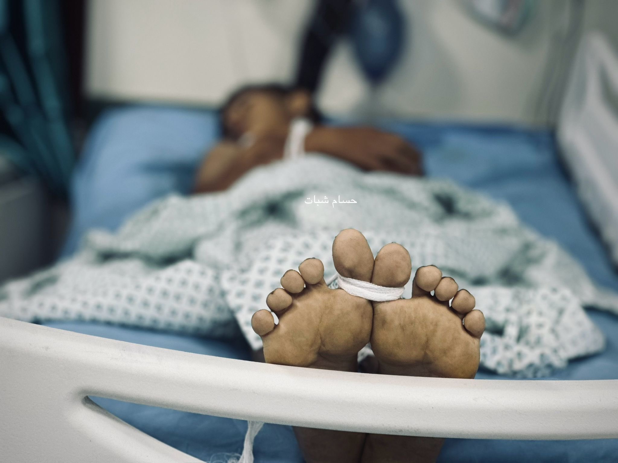 Genocídio em Gaza comove opinião pública e amplia apoio ao Estado Palestino