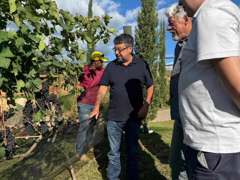 Depois de vitória judicial em projeto de complexo turístico, Maricá anuncia Universidade do Vinho