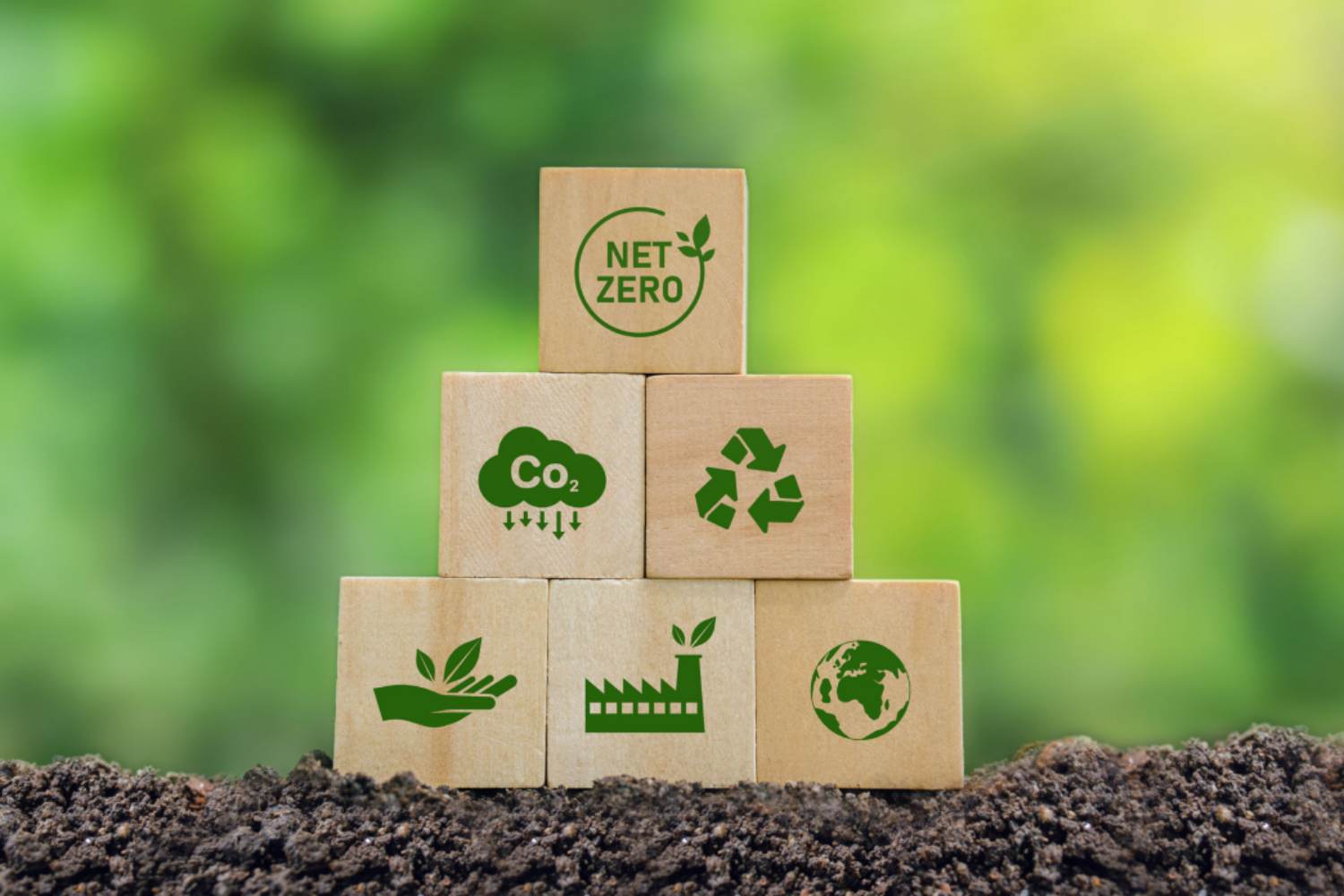 Captura de carbono na Amazônia está em risco