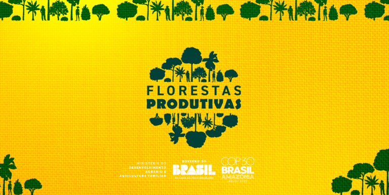 Recuperação de áreas degradadas avança com o Programa Nacional de Florestas Produtivas