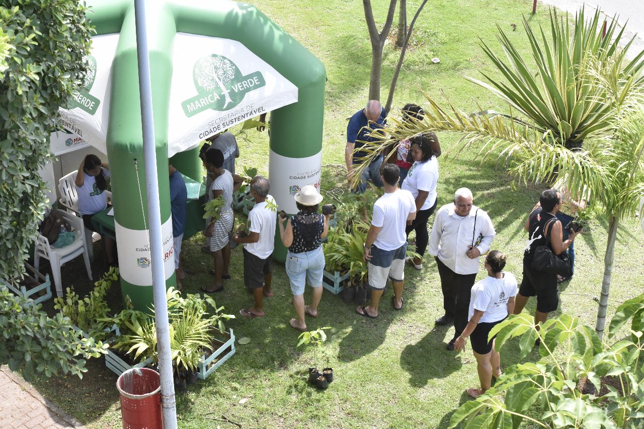 MMA divulga texto-base do Programa Cidades Verdes Resilientes